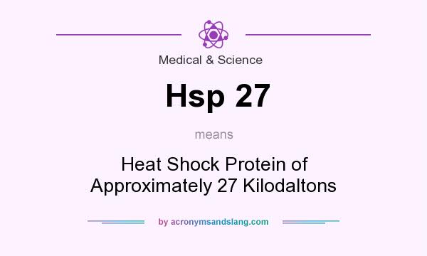 What does Hsp 27 mean? It stands for Heat Shock Protein of Approximately 27 Kilodaltons