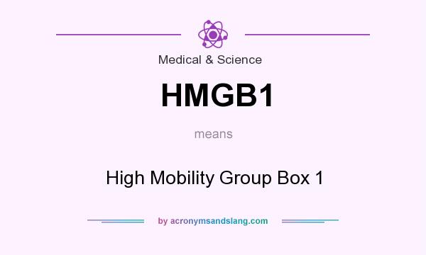 What does HMGB1 mean? It stands for High Mobility Group Box 1