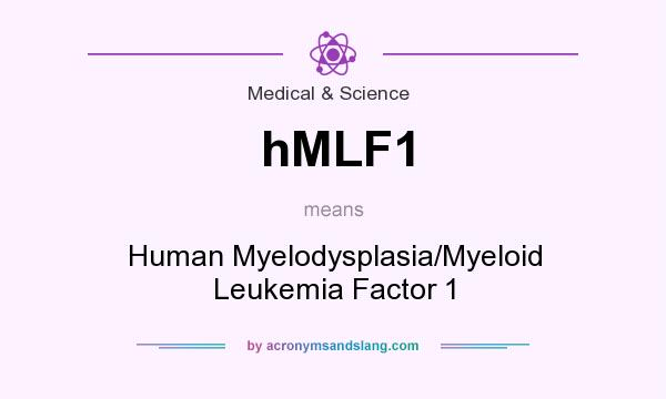 What does hMLF1 mean? It stands for Human Myelodysplasia/Myeloid Leukemia Factor 1