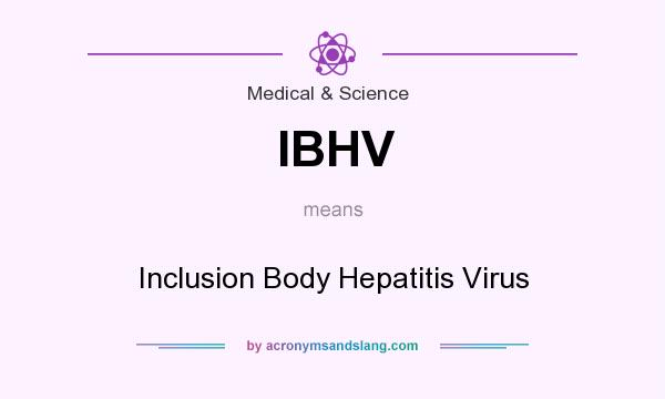What does IBHV mean? It stands for Inclusion Body Hepatitis Virus