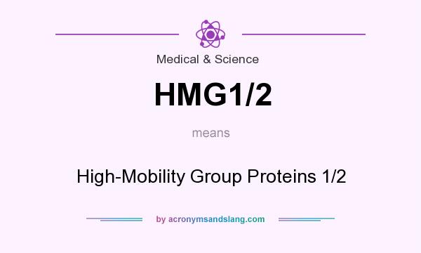 What does HMG1/2 mean? It stands for High-Mobility Group Proteins 1/2