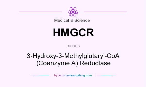 What does HMGCR mean? It stands for 3-Hydroxy-3-Methylglutaryl-CoA (Coenzyme A) Reductase