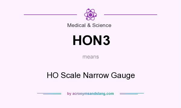 What does HON3 mean? It stands for HO Scale Narrow Gauge