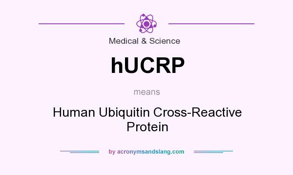 What does hUCRP mean? It stands for Human Ubiquitin Cross-Reactive Protein