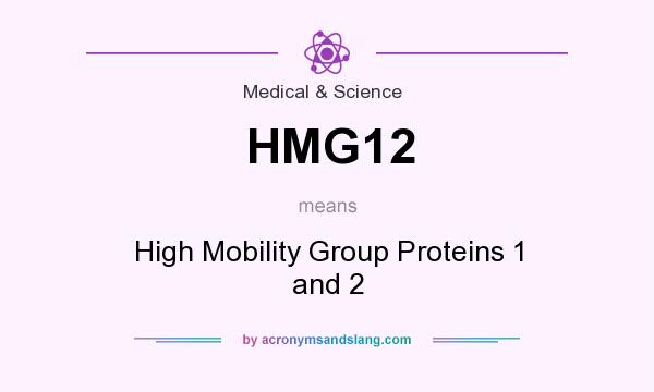 What does HMG12 mean? It stands for High Mobility Group Proteins 1 and 2