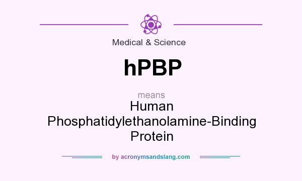 What does hPBP mean? It stands for Human Phosphatidylethanolamine-Binding Protein