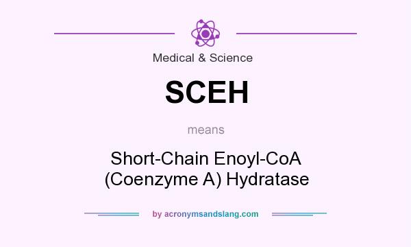 What does SCEH mean? It stands for Short-Chain Enoyl-CoA (Coenzyme A) Hydratase