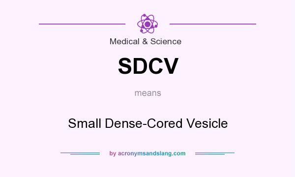 What does SDCV mean? It stands for Small Dense-Cored Vesicle