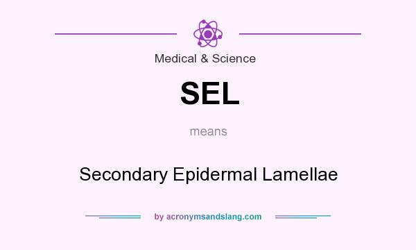 What does SEL mean? It stands for Secondary Epidermal Lamellae
