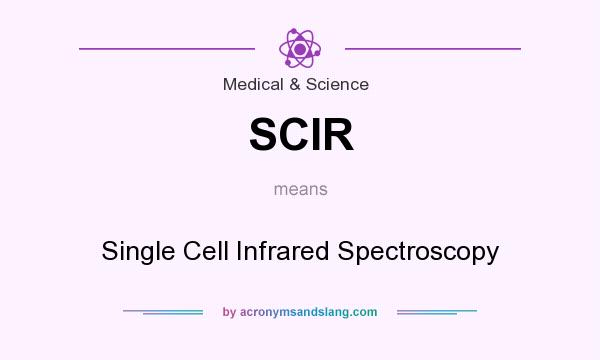 What does SCIR mean? It stands for Single Cell Infrared Spectroscopy