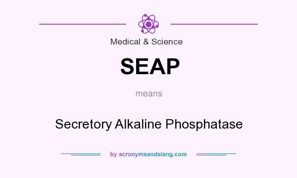 What does SEAP mean? It stands for Secretory Alkaline Phosphatase