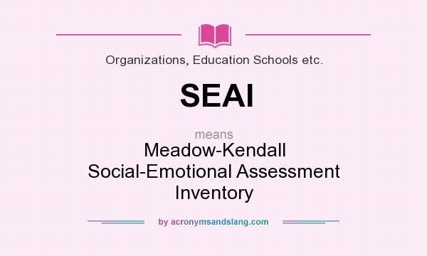 What does SEAI mean? It stands for Meadow-Kendall Social-Emotional Assessment Inventory