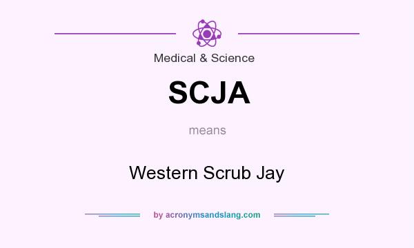 What does SCJA mean? It stands for Western Scrub Jay