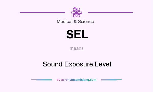 What does SEL mean? It stands for Sound Exposure Level