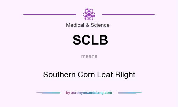 What does SCLB mean? It stands for Southern Corn Leaf Blight