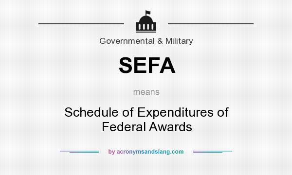 What does SEFA mean? It stands for Schedule of Expenditures of Federal Awards