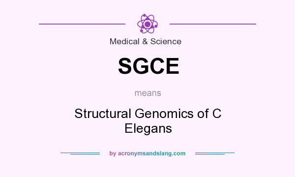 What does SGCE mean? It stands for Structural Genomics of C Elegans