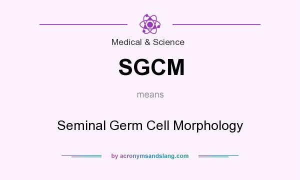 What does SGCM mean? It stands for Seminal Germ Cell Morphology