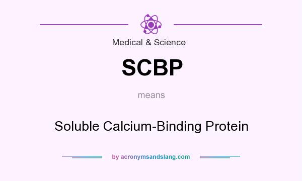 What does SCBP mean? It stands for Soluble Calcium-Binding Protein