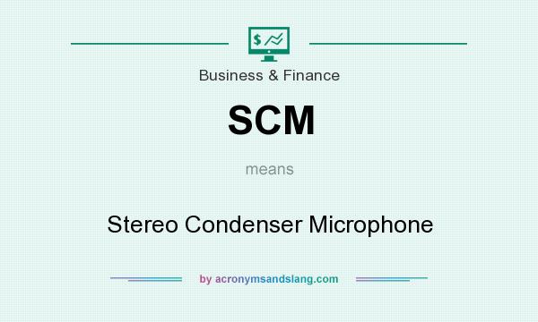 What does SCM mean? It stands for Stereo Condenser Microphone