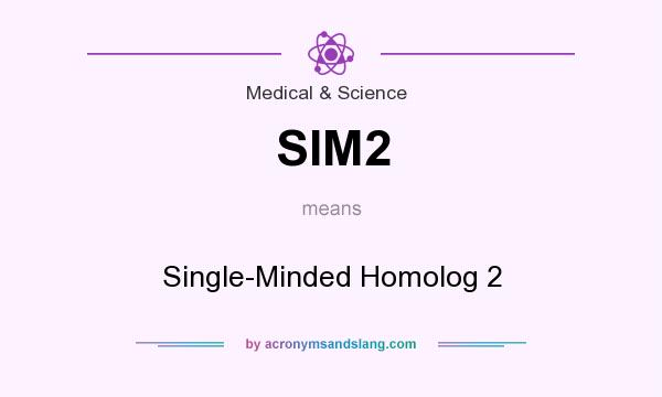 What does SIM2 mean? It stands for Single-Minded Homolog 2