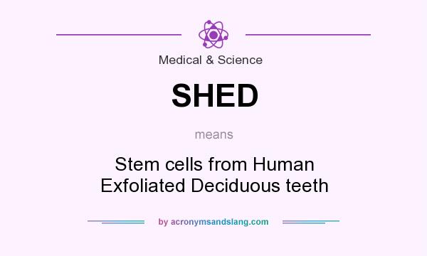 What does SHED mean? It stands for Stem cells from Human Exfoliated Deciduous teeth
