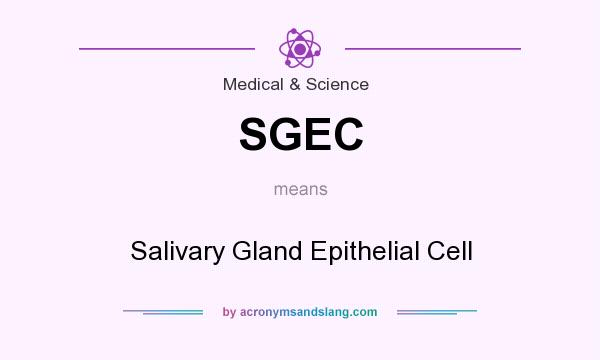 What does SGEC mean? It stands for Salivary Gland Epithelial Cell