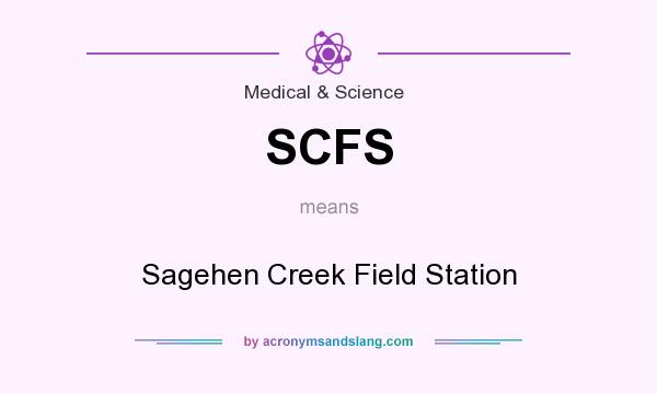 What does SCFS mean? It stands for Sagehen Creek Field Station