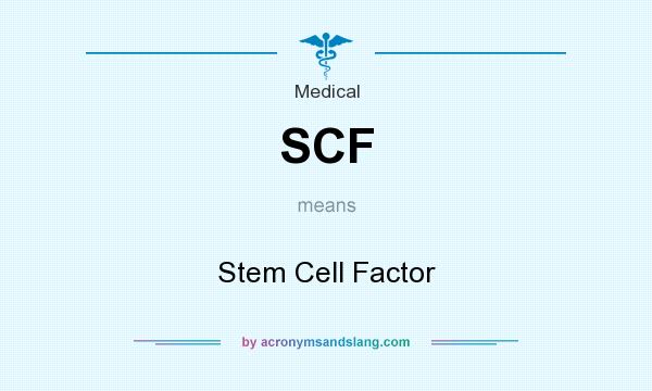 What does SCF mean? It stands for Stem Cell Factor