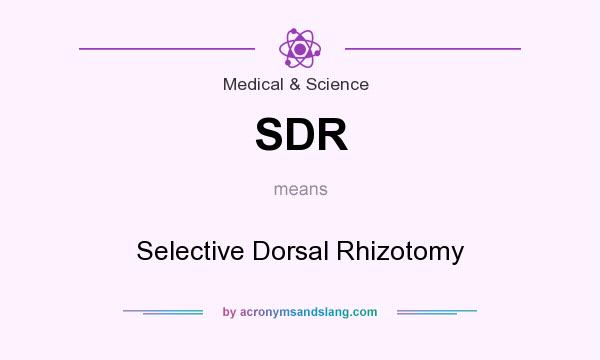 What does SDR mean? It stands for Selective Dorsal Rhizotomy
