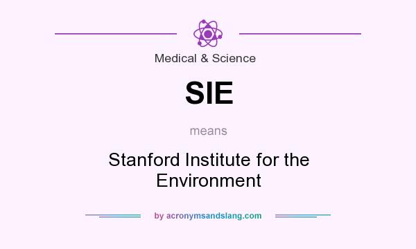 What does SIE mean? It stands for Stanford Institute for the Environment
