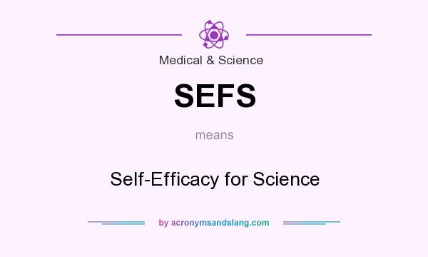 What does SEFS mean? It stands for Self-Efficacy for Science