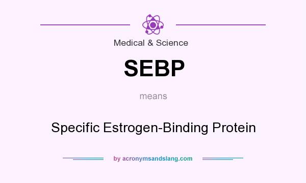What does SEBP mean? It stands for Specific Estrogen-Binding Protein