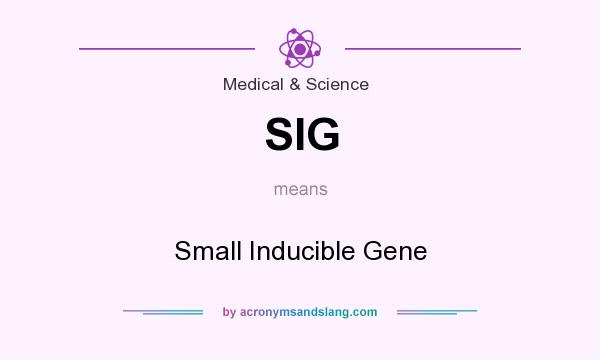 What does SIG mean? It stands for Small Inducible Gene