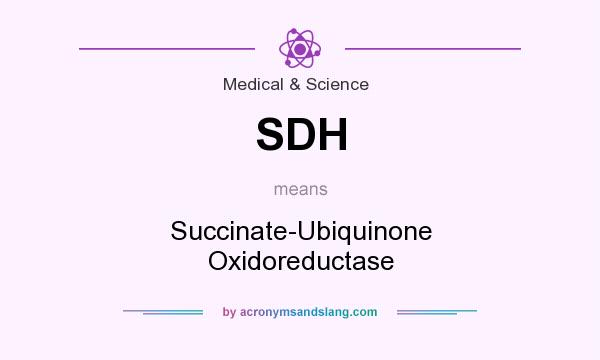 What does SDH mean? It stands for Succinate-Ubiquinone Oxidoreductase