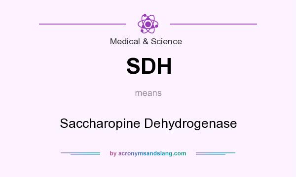 What does SDH mean? It stands for Saccharopine Dehydrogenase