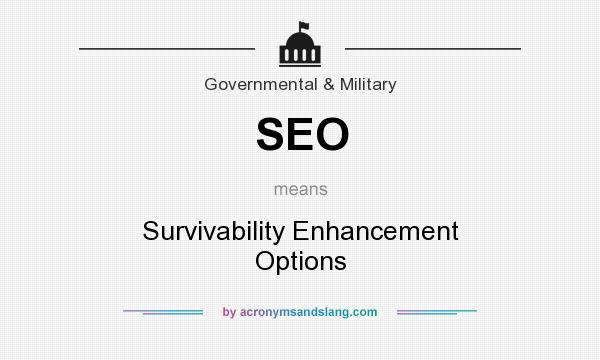 What does SEO mean? It stands for Survivability Enhancement Options