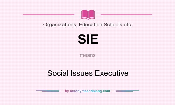 What does SIE mean? It stands for Social Issues Executive