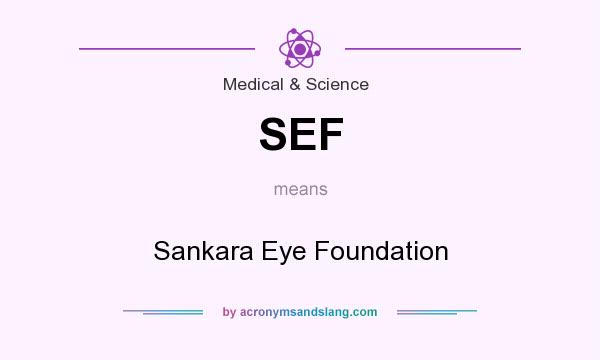 What does SEF mean? It stands for Sankara Eye Foundation
