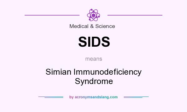What does SIDS mean? It stands for Simian Immunodeficiency Syndrome