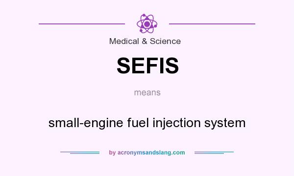What does SEFIS mean? It stands for small-engine fuel injection system