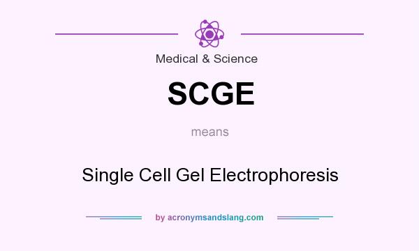 What does SCGE mean? It stands for Single Cell Gel Electrophoresis