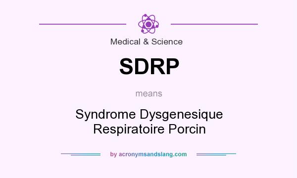 What does SDRP mean? It stands for Syndrome Dysgenesique Respiratoire Porcin