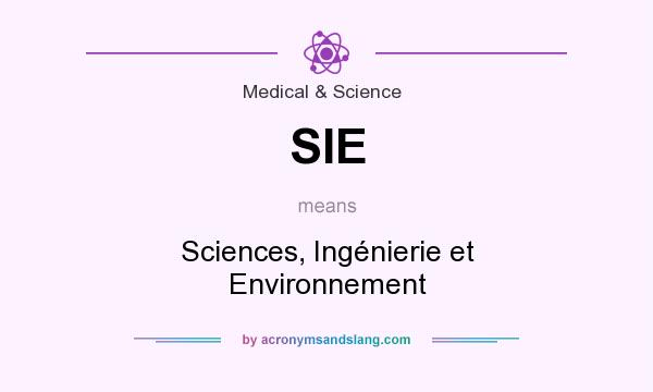 What does SIE mean? It stands for Sciences, Ingénierie et Environnement