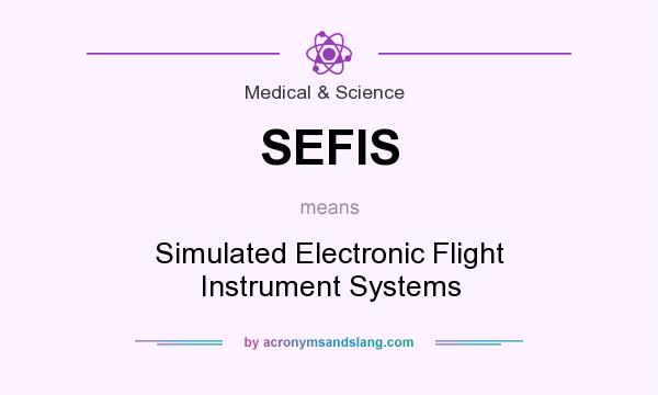What does SEFIS mean? It stands for Simulated Electronic Flight Instrument Systems
