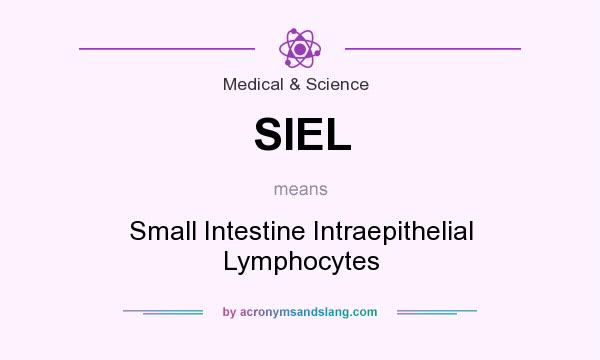 What does SIEL mean? It stands for Small Intestine Intraepithelial Lymphocytes