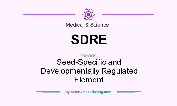 What does SDRE mean? It stands for Seed-Specific and Developmentally Regulated Element