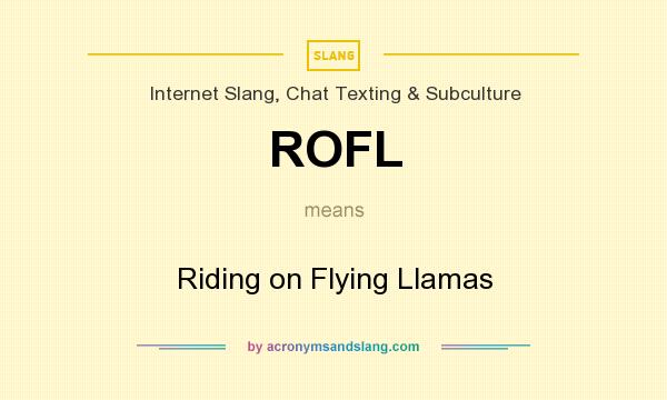 What does ROFL mean? It stands for Riding on Flying Llamas