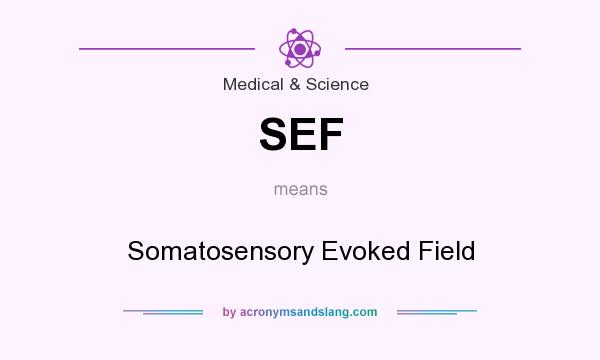 What does SEF mean? It stands for Somatosensory Evoked Field