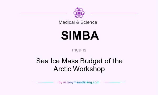 What does SIMBA mean? It stands for Sea Ice Mass Budget of the Arctic Workshop